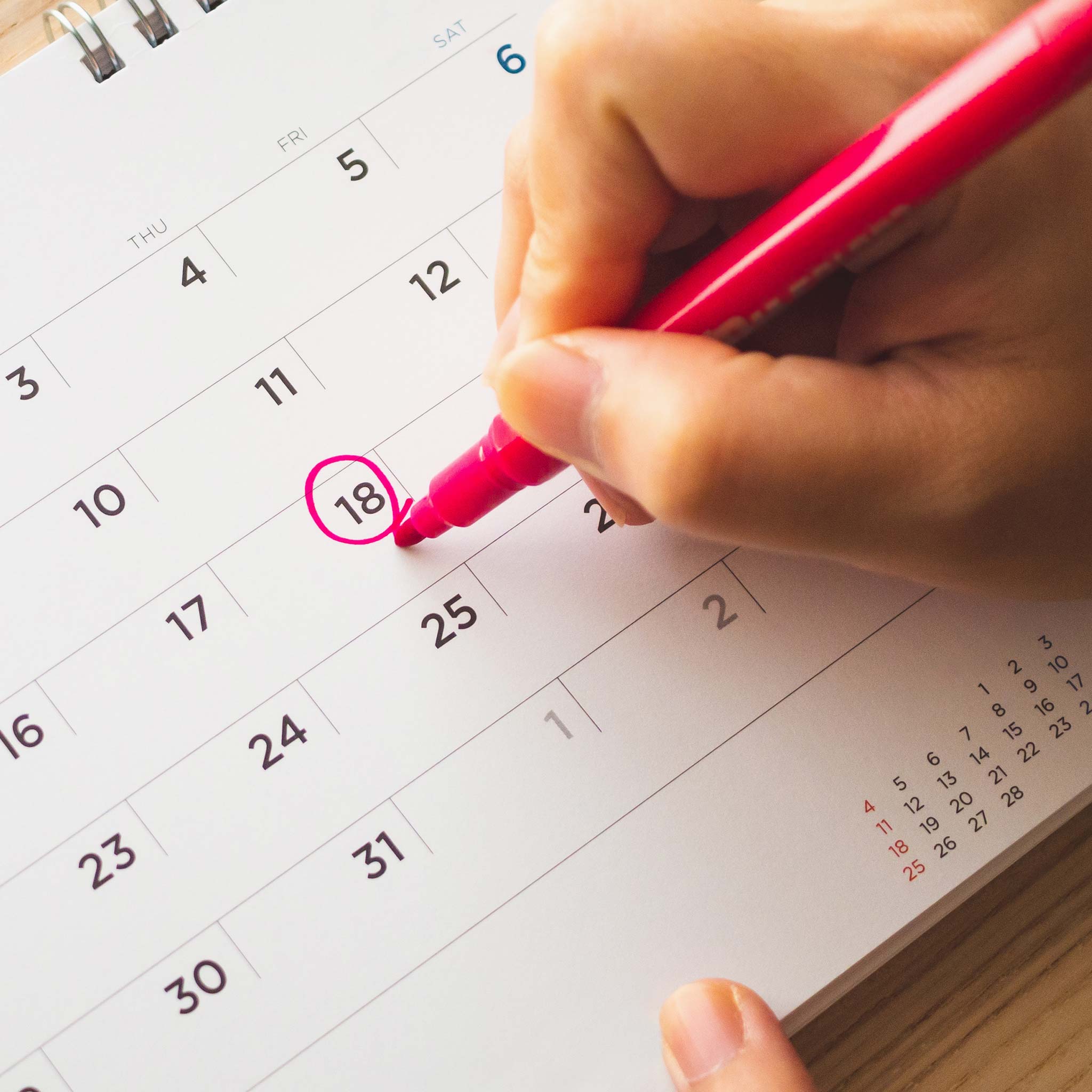 The Ultimate Pyrolytic Oven Guide